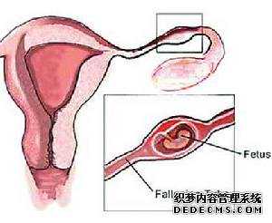 上海供卵试管需要多长时间,上海试管代孕费用明细,【上海科学代孕零风险包成