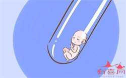 上海代怀孕价格专题，怎样尽快知道自己是否怀孕