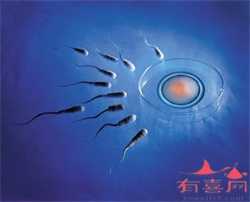 上海试管用供卵条件，北京：6月起增30天生育奖励假可享津贴
