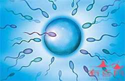 上海代生医院地址，男人的精子不合格能不能做试管婴儿呢