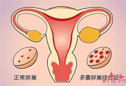 上海合法代生，用小鼠干细胞造出的人造胚胎样结构，已非常接近真正的胚胎