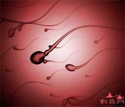 上海助孕产子公司包成功套餐，输卵管堵塞还能自然怀孕吗_女性不孕治疗方法