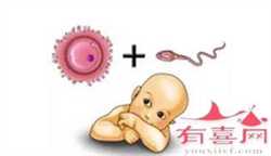 上海全包代怀孕保密咨询，重庆妇幼保健院试管要做哪些检查？
