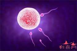 上海那个生殖医院有供卵，泰国试管婴儿对宫标准有哪些规定吗?