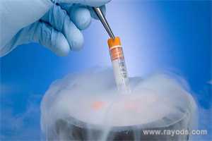 上海大学第一附属医院生殖科申请供卵试管助孕要排多久队？