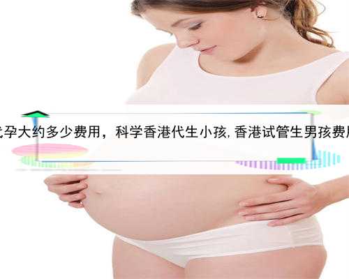 代孕大约多少费用，科学香港代生小孩,香港试管生男孩费用
