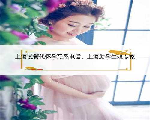 上海试管代怀孕联系电话，上海助孕生殖专家