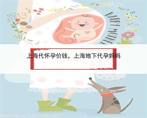 上海代怀孕价钱，上海地下代孕妈妈