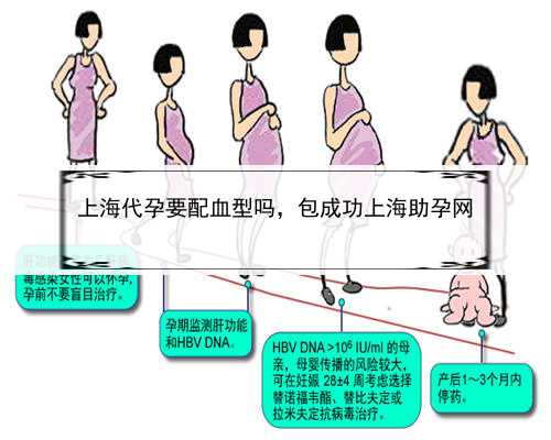 上海代孕要配血型吗，包成功上海助孕网