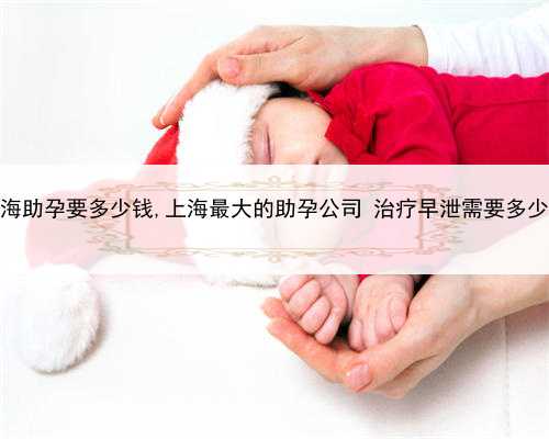 上海助孕要多少钱,上海最大的助孕公司 治疗早泄需要多少钱