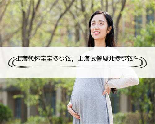 上海代怀宝宝多少钱，上海试管婴儿多少钱？
