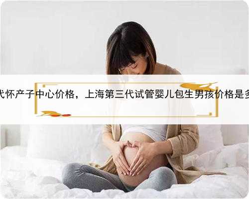 上海代怀产子中心价格，上海第三代试管婴儿包生男孩价格是多少？