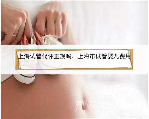 上海试管代怀正规吗，上海市试管婴儿费用