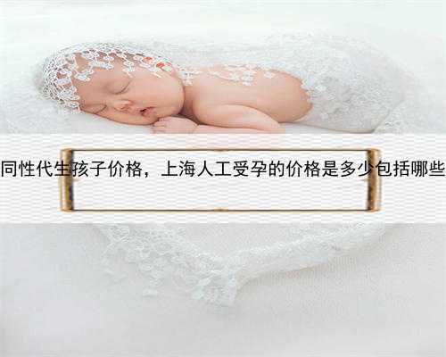 上海同性代生孩子价格，上海人工受孕的价格是多少包括哪些费用