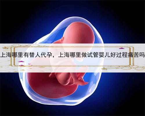 上海哪里有替人代孕，上海哪里做试管婴儿好过程痛苦吗