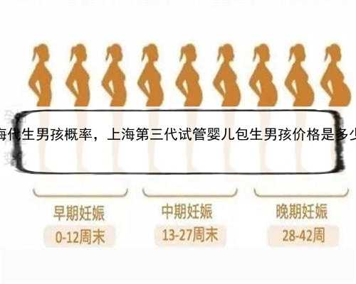 上海代生男孩概率，上海第三代试管婴儿包生男孩价格是多少？