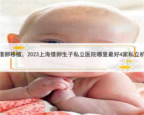 上海借精借卵移植，2023上海借卵生子私立医院哪里最好4家私立机构任你选