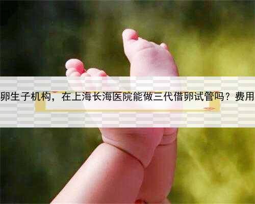 上海借卵生子机构，在上海长海医院能做三代借卵试管吗？费用高吗？