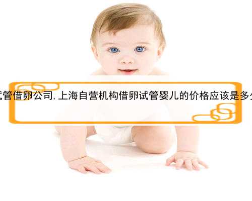 上海试管借卵公司,上海自营机构借卵试管婴儿的价格应该是多少呢？