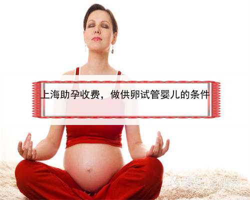 上海助孕收费，做供卵试管婴儿的条件