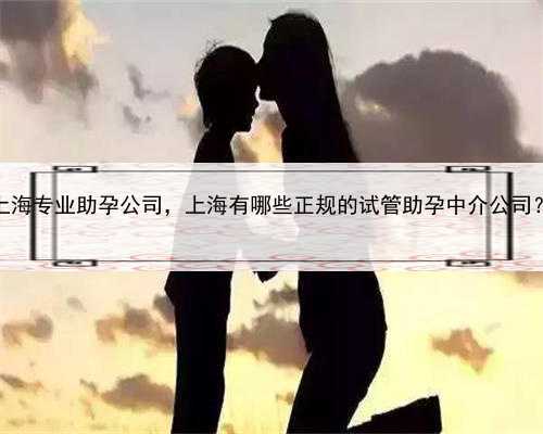 上海专业助孕公司，上海有哪些正规的试管助孕中介公司？