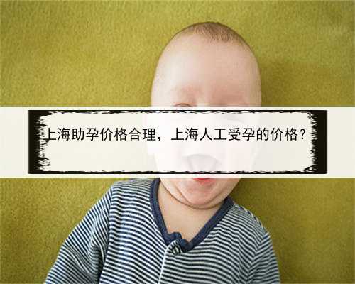 上海助孕价格合理，上海人工受孕的价格？