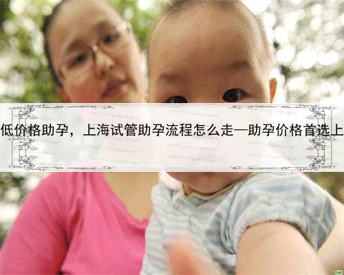 上海最低价格助孕，上海试管助孕流程怎么走—助孕价格首选上海添一